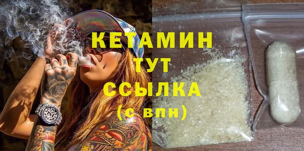 стаф Аркадак