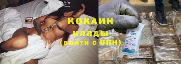 стаф Аркадак