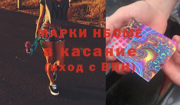стаф Аркадак
