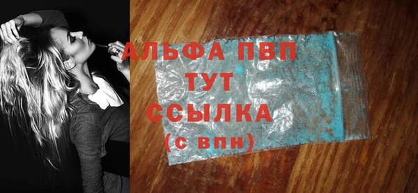 стаф Аркадак