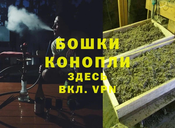 стаф Аркадак