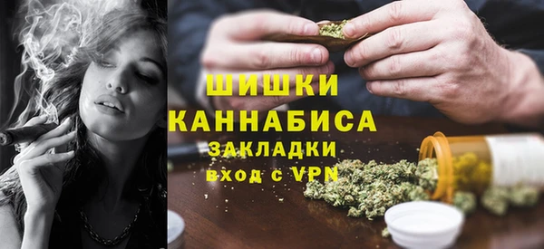 стаф Аркадак