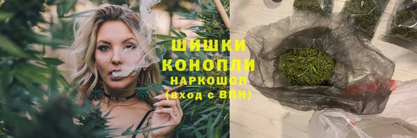 стаф Аркадак