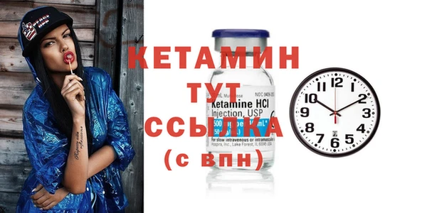 стаф Аркадак