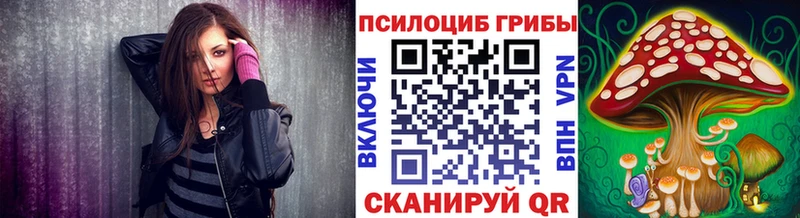 Купить закладки  Сысерть  Псилоцибиновые грибы Cubensis 